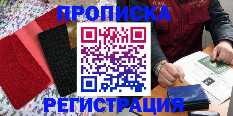 прописка штамп в Нелидово